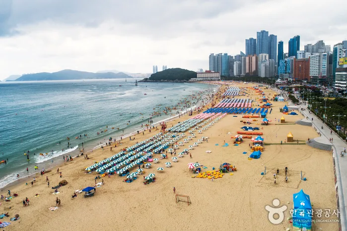 [아시아중동]해운대해수욕장2(전경)_일반_1유형