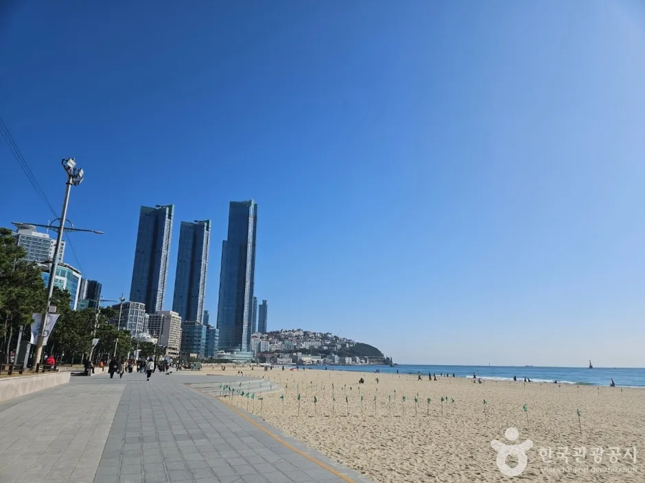 해운대해수욕장 (4)