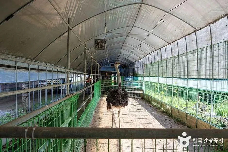 찬우물 체험동물농장 (11).jpg