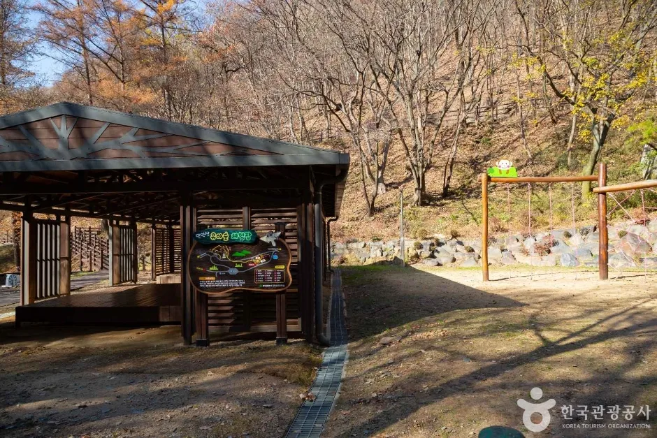 대전_동구_만인산 자연휴양림 (3)