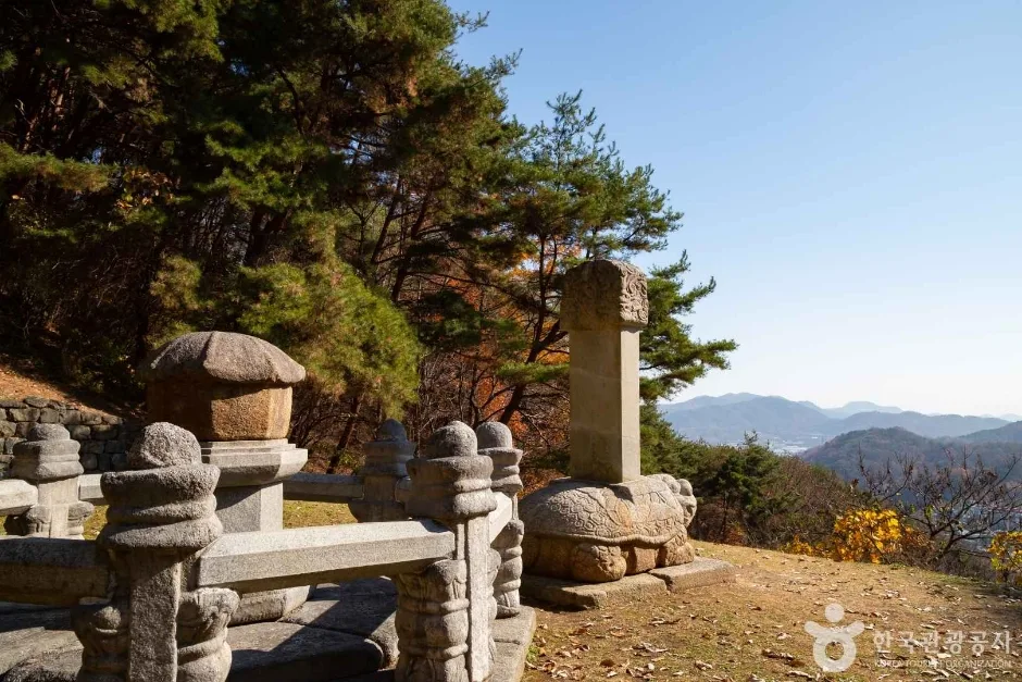 대전_동구_만인산 자연휴양림 (10)