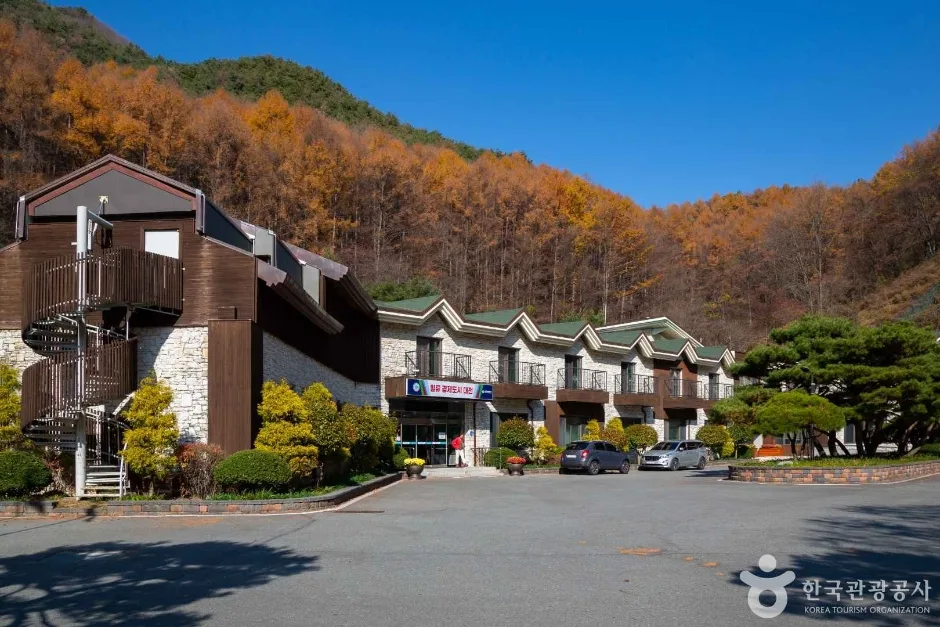 대전_동구_만인산 자연휴양림 (11)