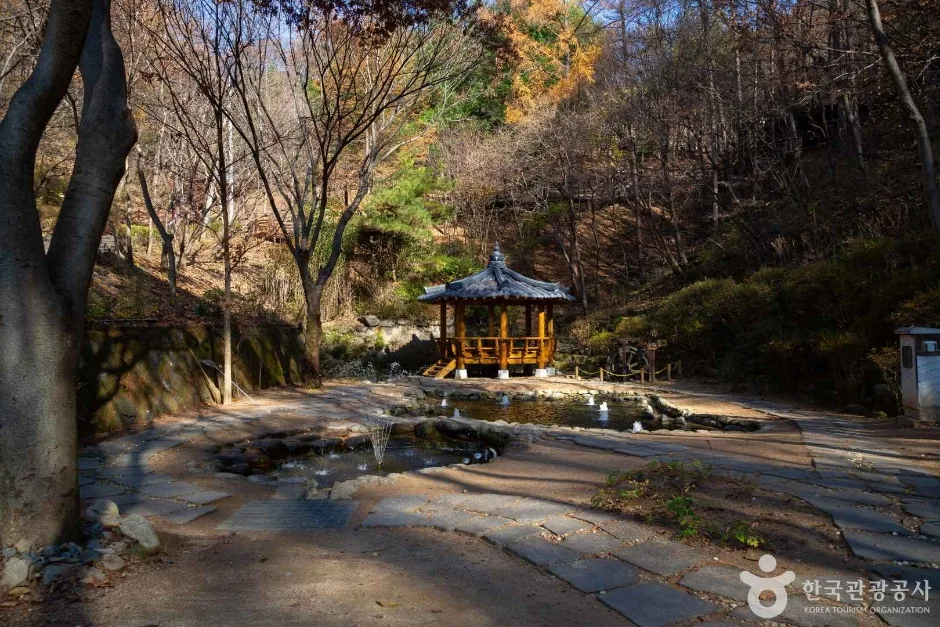 대전_동구_만인산 자연휴양림 (12)