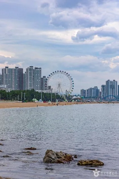 속초_속초아이대관람차 (1)