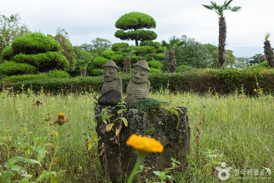 제주 센트럴파크 (18)