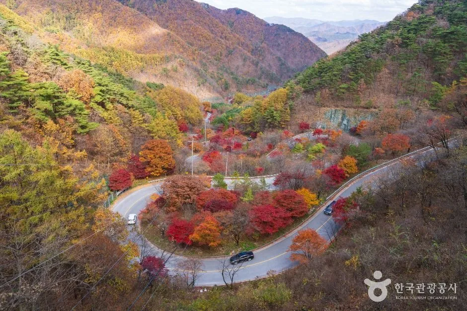 단양 보발재 (3) 