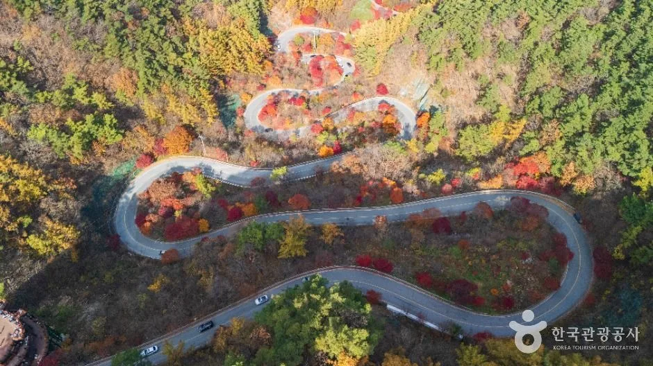 단양 보발재 (4) 