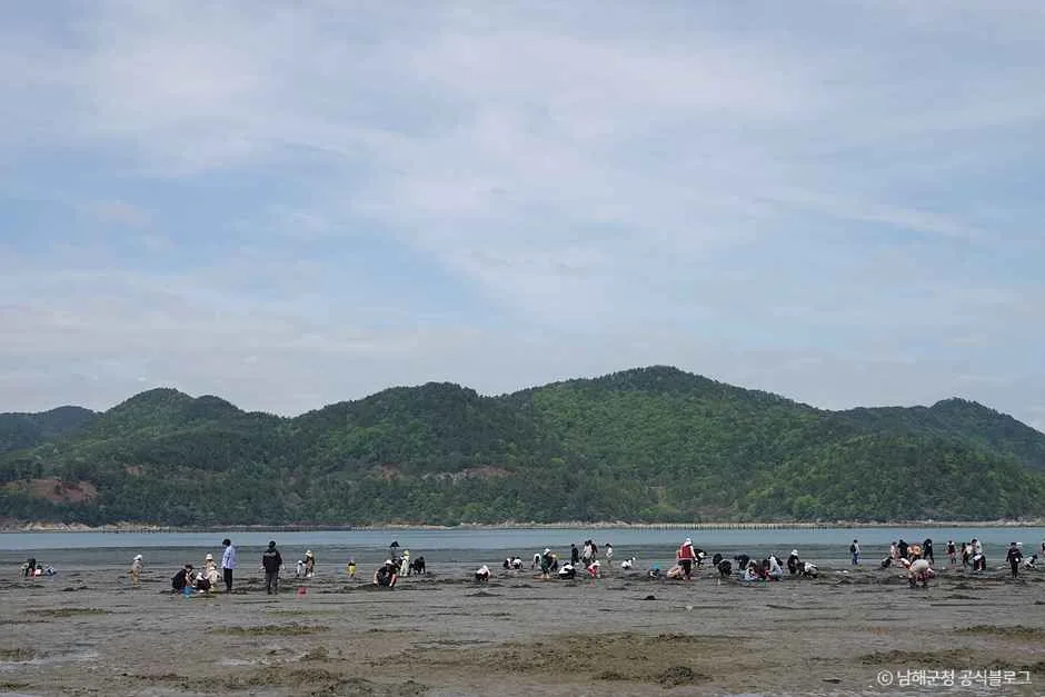 남해_둔촌갯벌체험장 (6).jpg