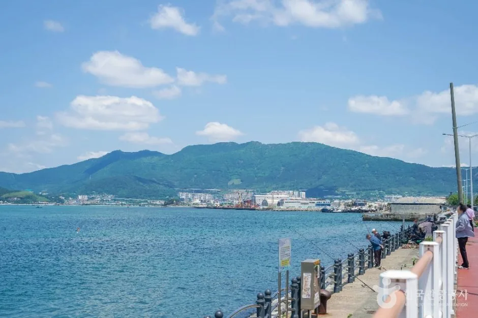 창원_진해해안도로 (6)