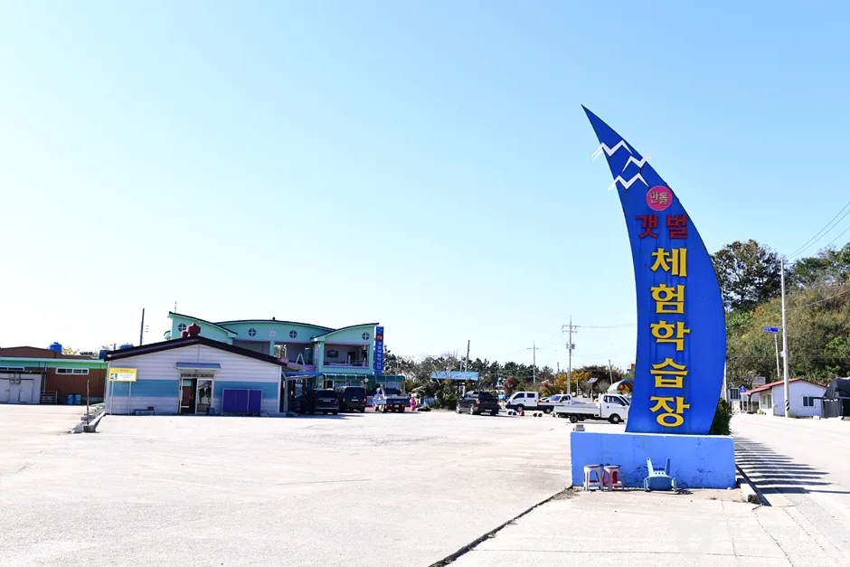 전북_고창_만돌갯벌체험학습장 (7)