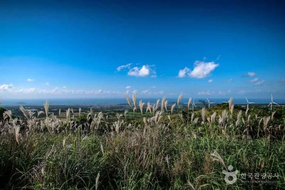 새별오름