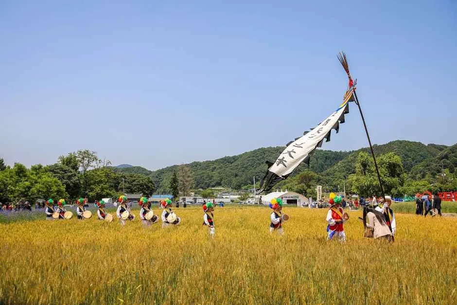 2026 양평밀축제 (1).jpg
