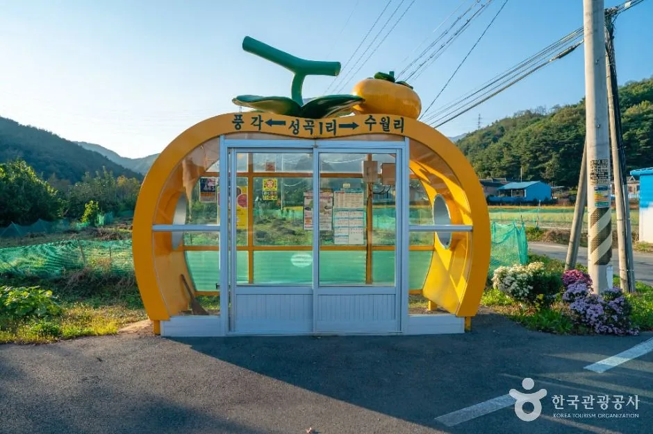 청도_청도 성수월마을 (5)
