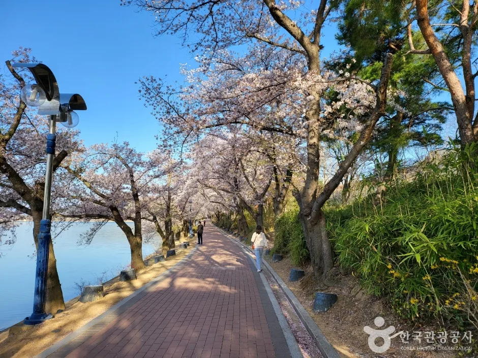 보문호 (5)