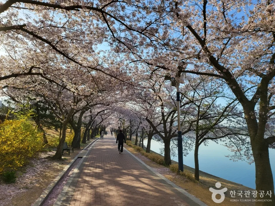 보문호 (7)