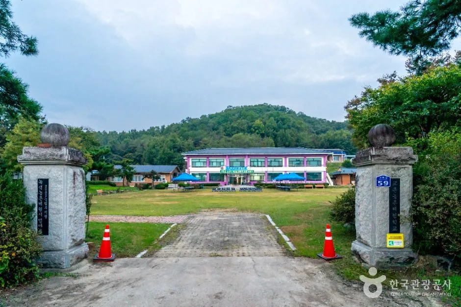의성_교촌농촌체험학교 (2)