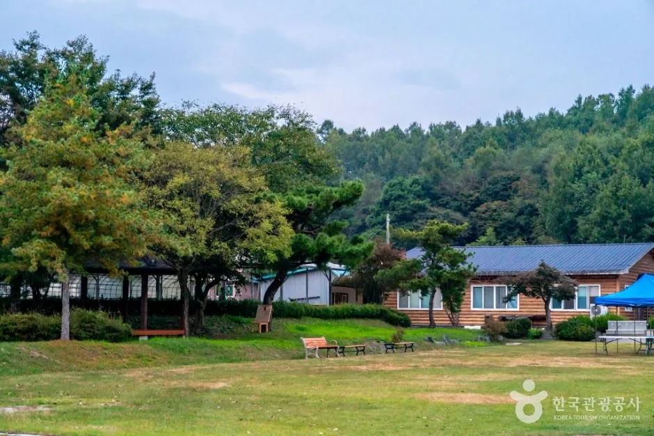 의성_교촌농촌체험학교 (4)