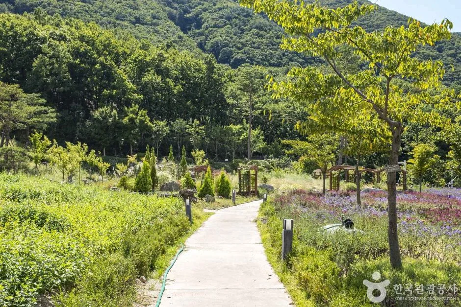 영천_보현산 자연휴양림 (5)