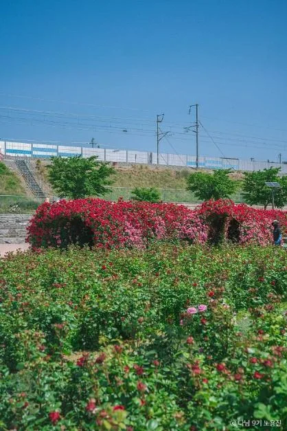 경산_대부잠수교 (3)