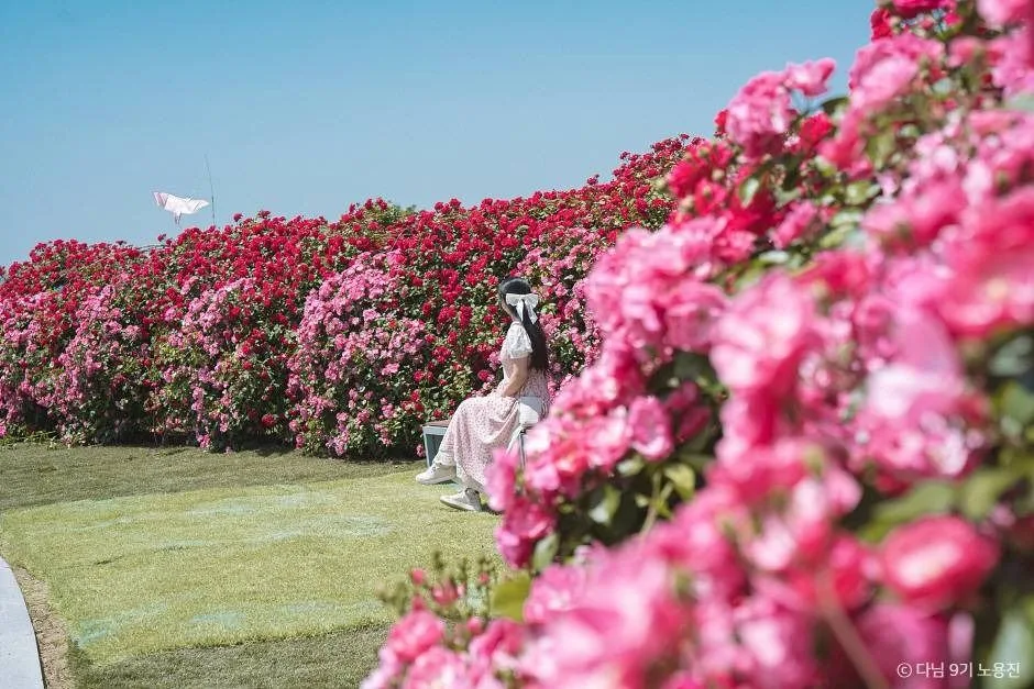 경산_대부잠수교 (8)