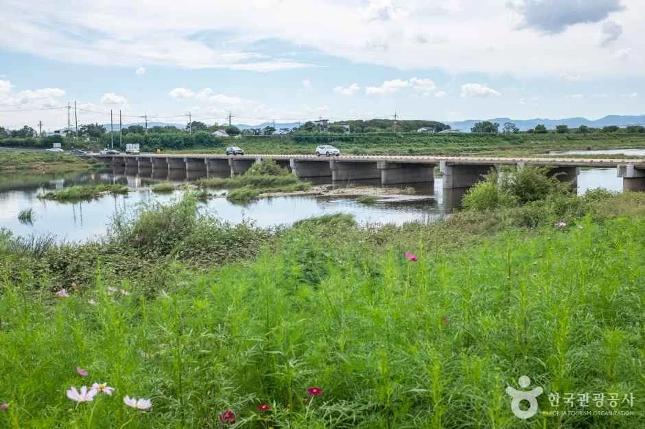 경산 하양경관농업단지 (1)