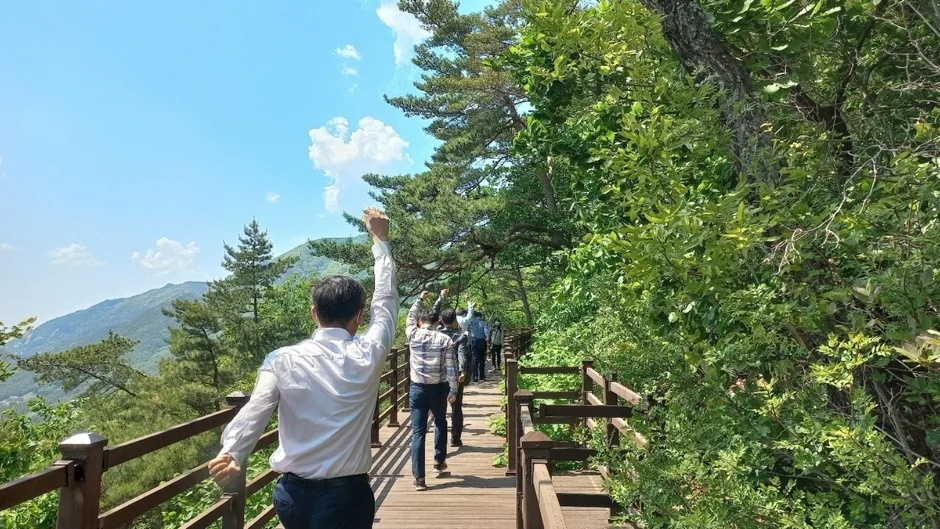 국립제천치유의숲 (11)_활인심방 숲테라피