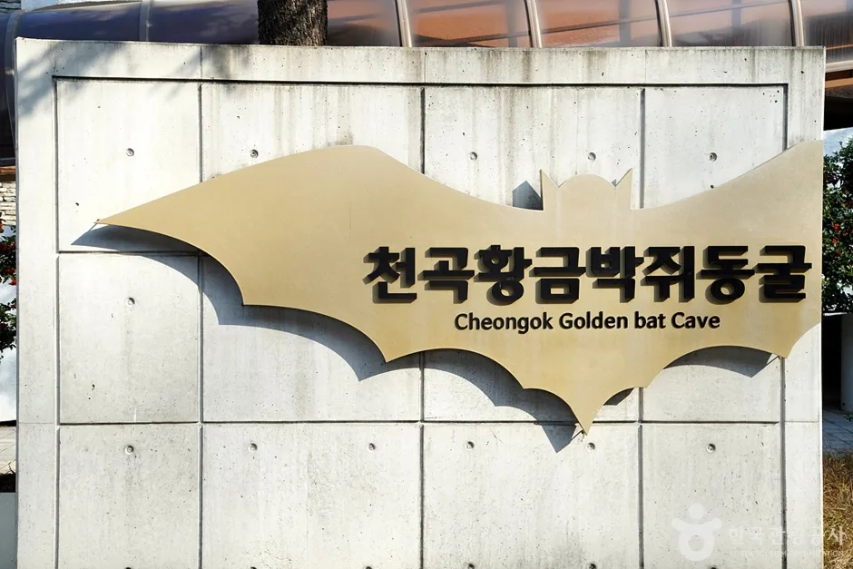 천곡천연동굴 자연학습체험공원 (8)