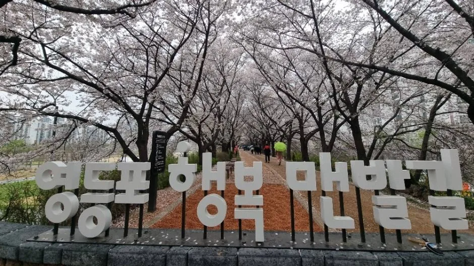 [서울둘레길 14코스] 안양천 하류코스 (1)