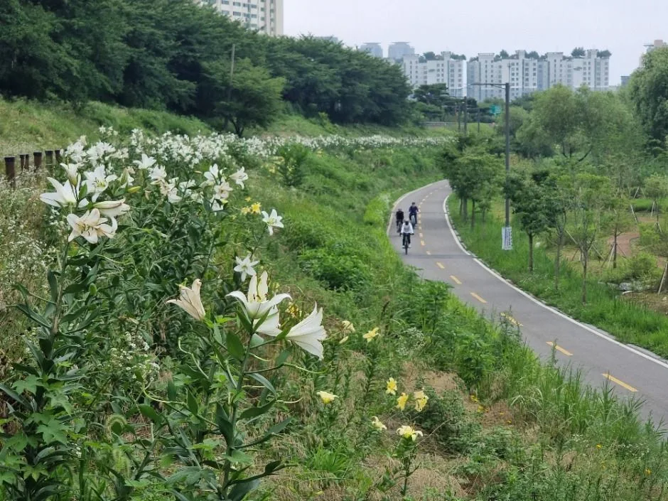 [서울둘레길 14코스] 안양천 하류코스 (10)