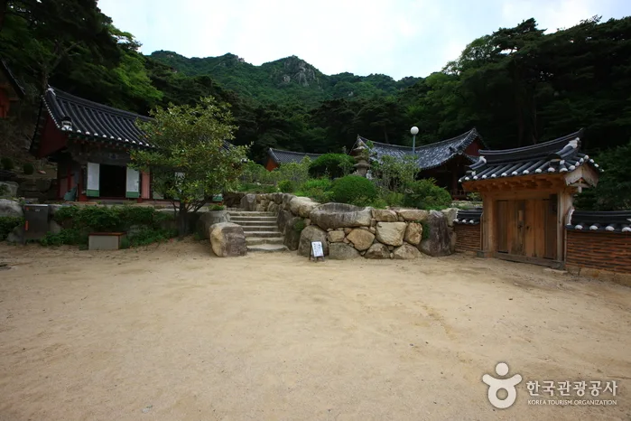 철기문화의 중심국가, 가야를 만나다