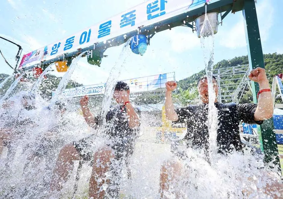 2026 평창더위사냥축제 (2).JPG