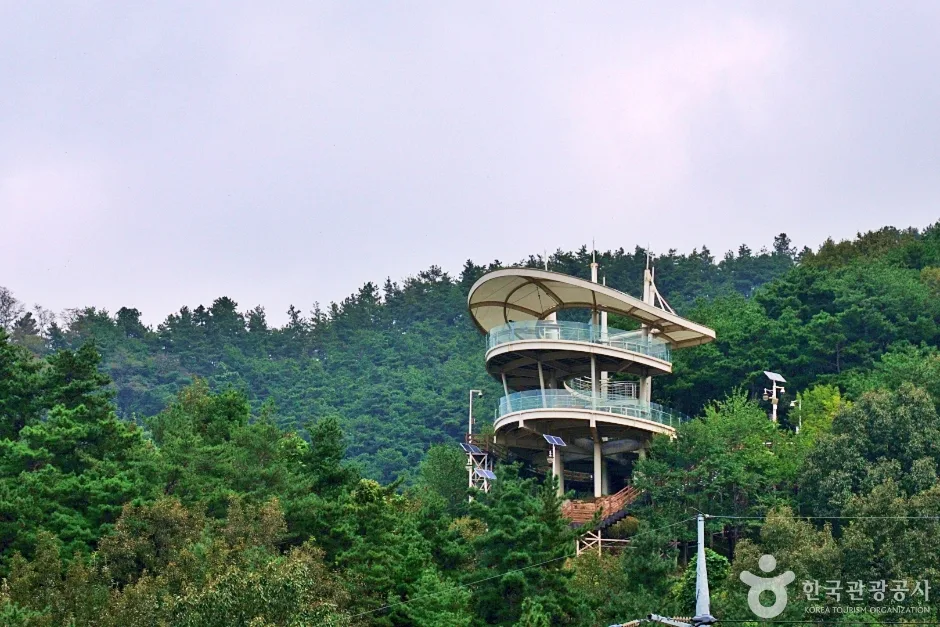 경북_상주_낙강교(6)