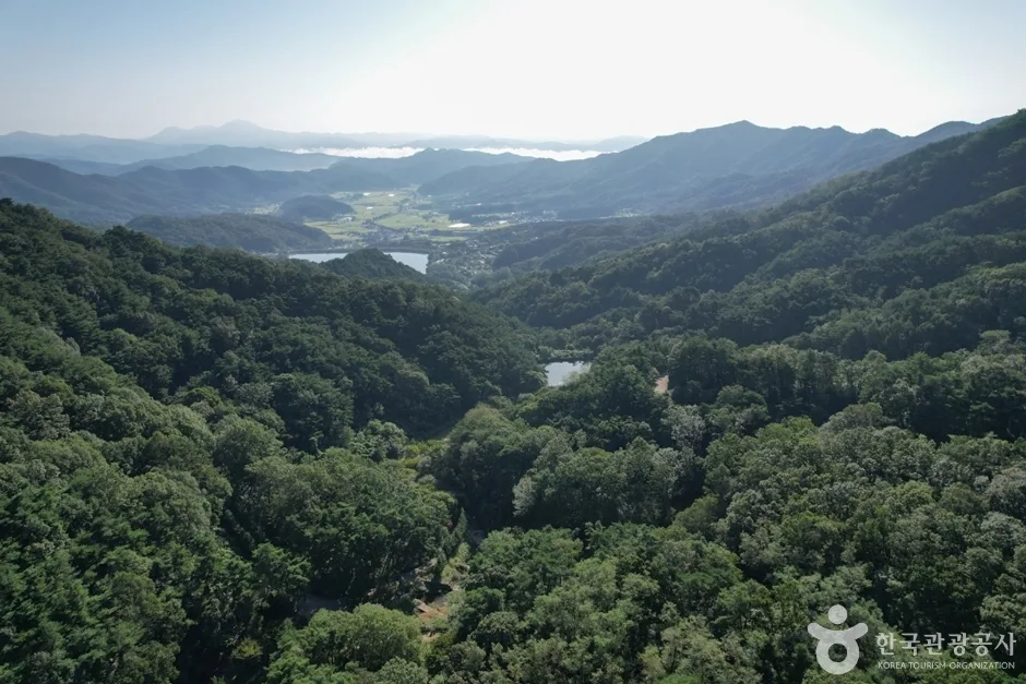 미숭산자연휴양림 (13)