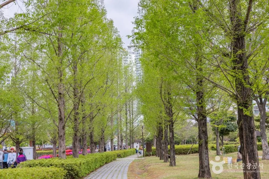부산_부산시민공원 (22)