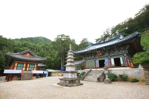 금강송과 동굴을 찾아가는 자연주의 여행