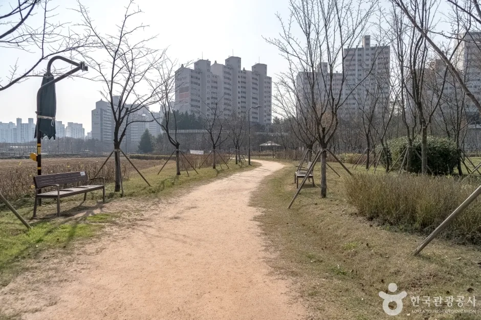 수풀로 영문리 (5)