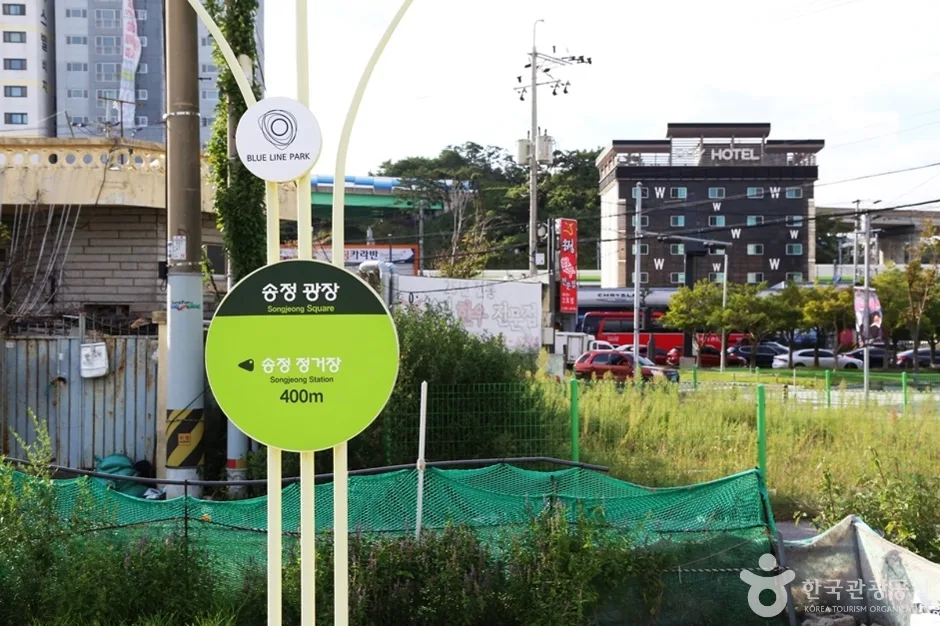 해운대 관광특구 (16)