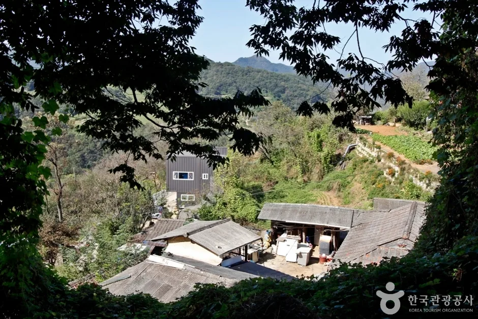 높은벌 (8)