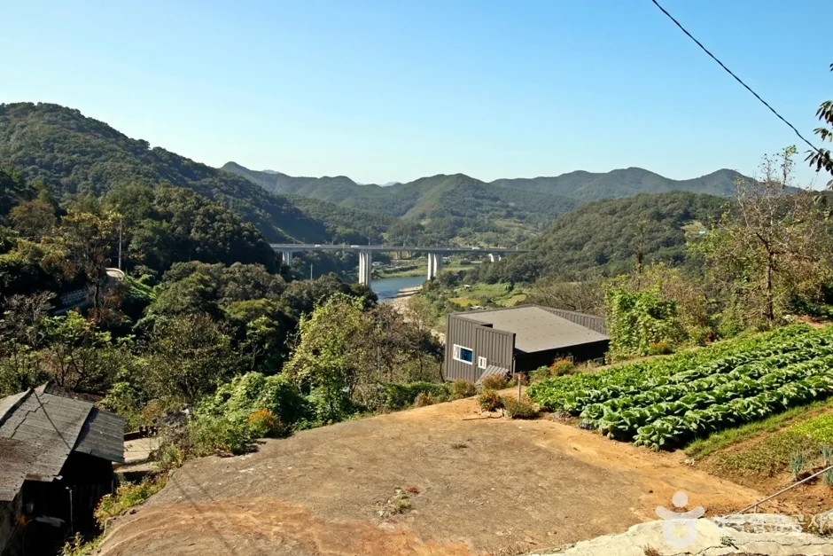 높은벌 (5)
