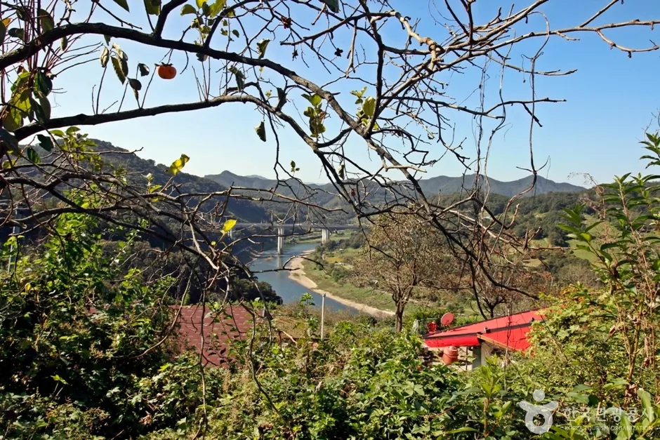 높은벌 (6)