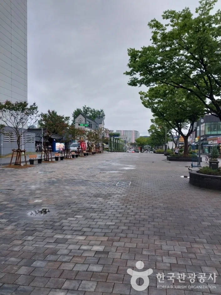 강릉 월화거리_3
