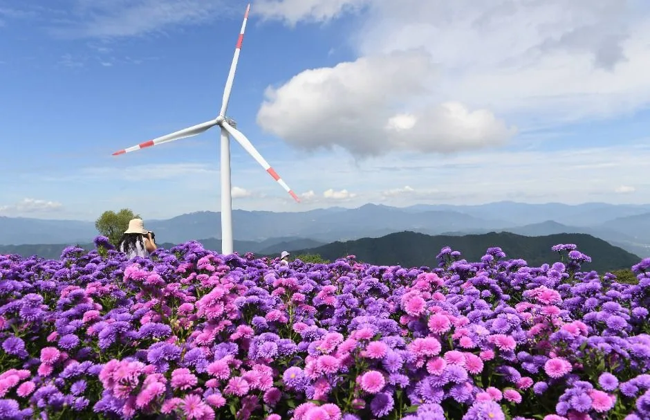 감악산 꽃별 여행