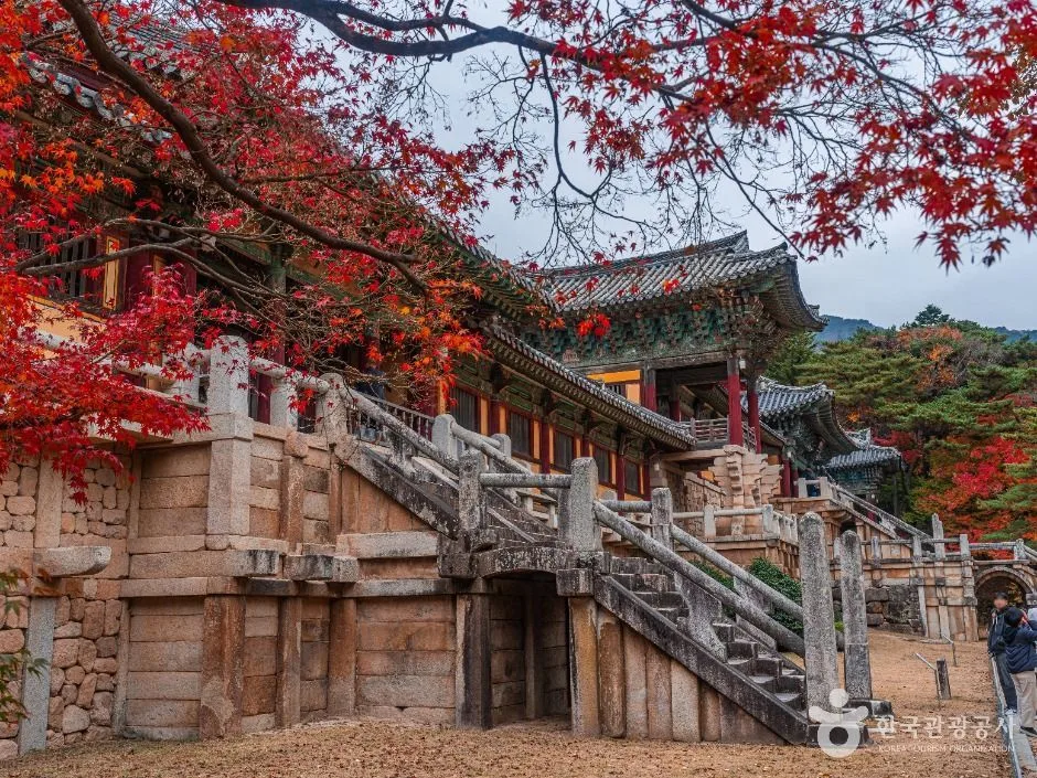 경주월드_판타지 세계관으로 꾸민 경주월드_김정흠 촬영