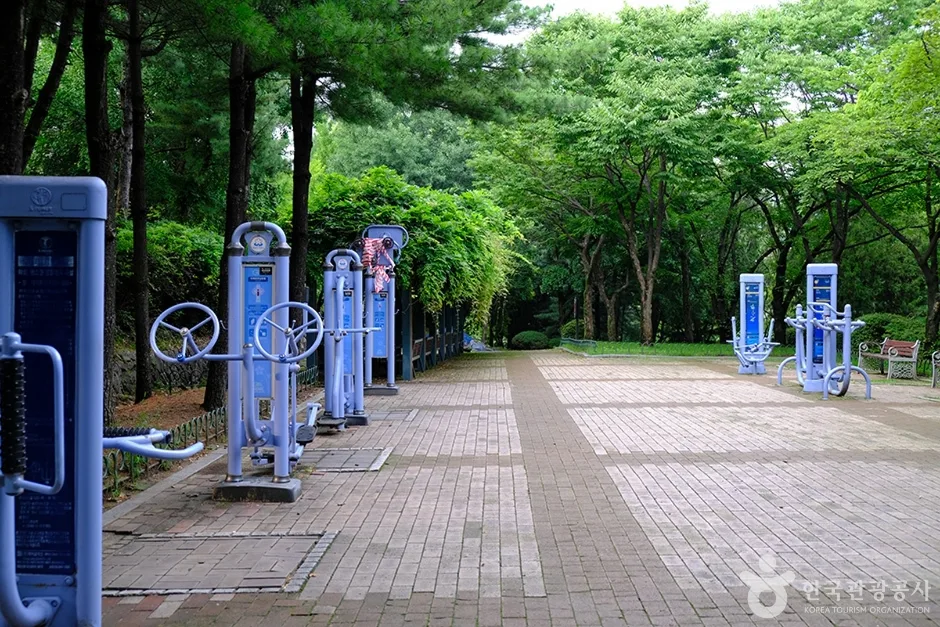 희망대공원 (15)