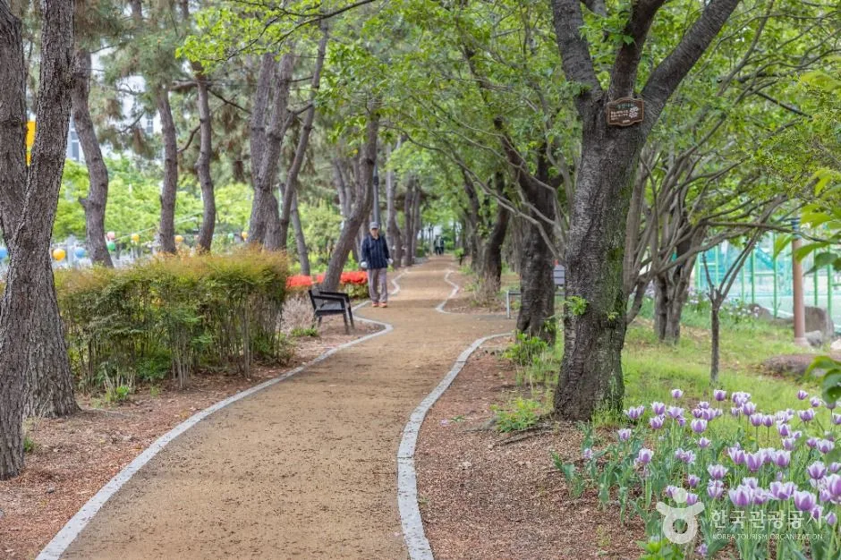 부산_장미원 (11)