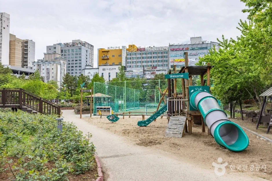 부산_장미원 (12)