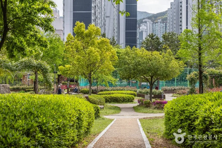 부산_장미원 (7)