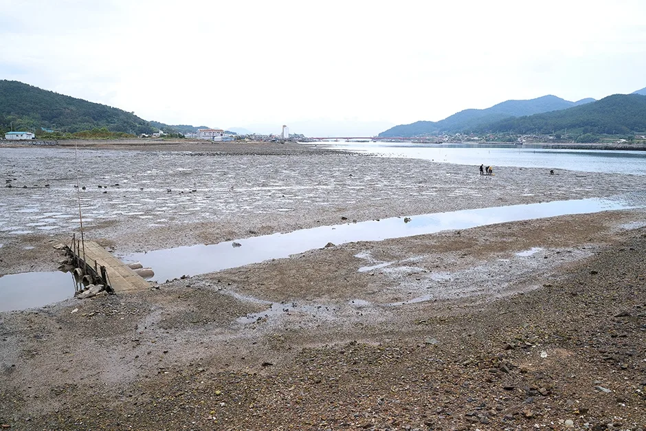 경상남도_남해군_전도갯벌체험장_갯벌체험 1