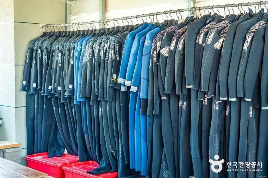 제주_도시해녀 (2).jpg