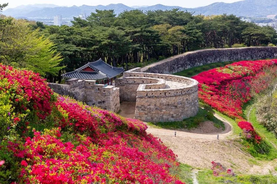 2025 고창국가유산야행 4